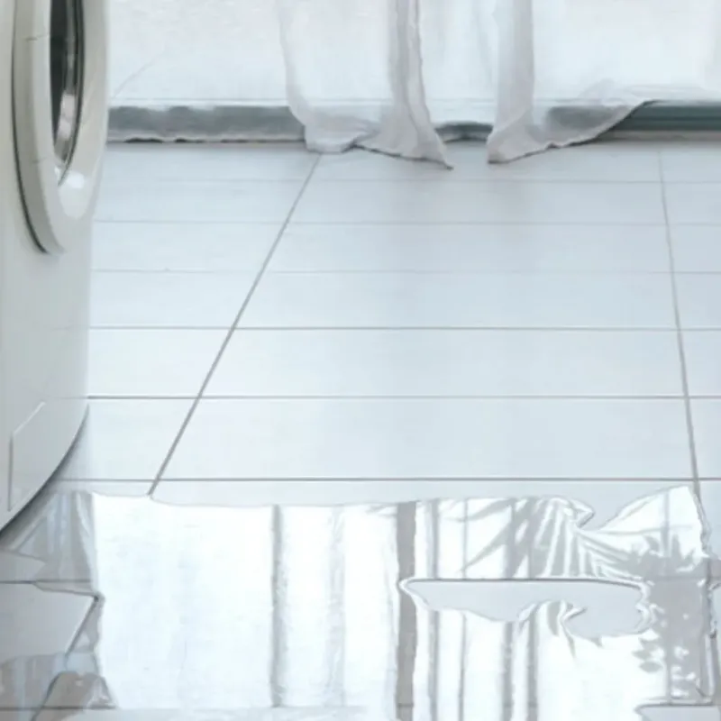 Appliance Leak Cleanup in Valley Falls, SC
