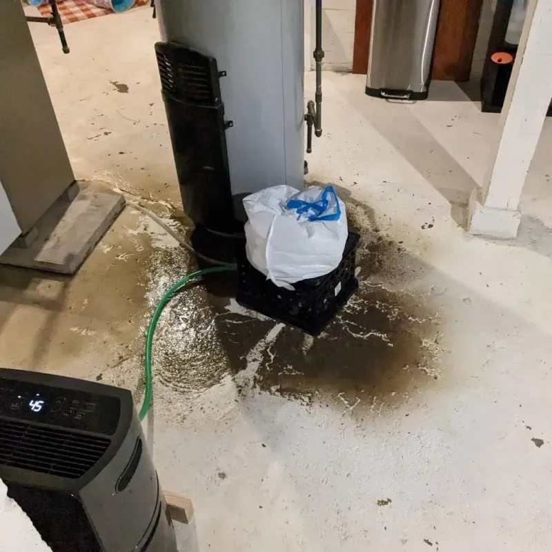 Sewage Backup Cleanup Service in Valley Falls, SC